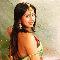 Sanjana Galrani In Saree Diwali Look - Stills | Picture 110823